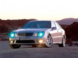 e 55 amg.gif