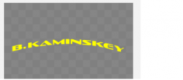 kaminskey.png