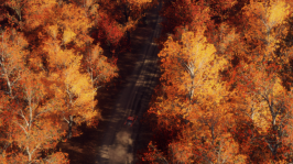 Dirt Rally 2 Screenshot 2019.03.04 - 17.17.58.95.png