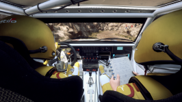 Dirt Rally 2 Screenshot 2019.03.11 - 17.28.26.12.png