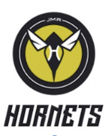 Hornets.png