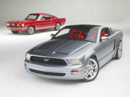 mustang1231.jpg