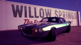 Willow Springs International Raceway_ Big Willow_12.jpg