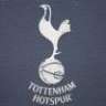 SpursIntegrale