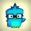 Nerdbird