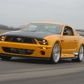 Mustang GT 12