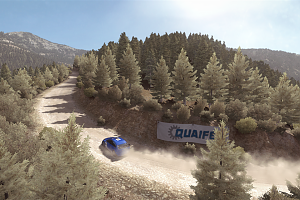 DiRT Rally Screenshots