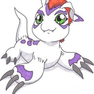 Digimon - Gomamon