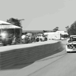 Goodwood Hillclimb 2014_11.jpg