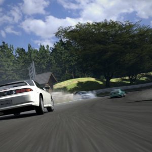 Deep Forest Raceway.jpg