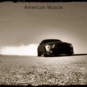 American Muscle.jpg