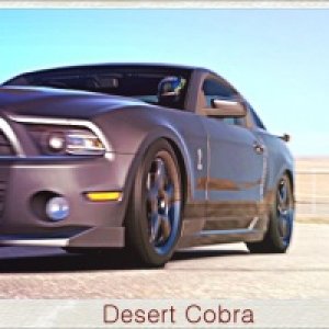 Desert Cobra.jpg