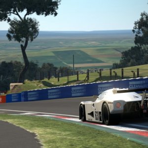 Mount Panorama Motor Racing Circuit_4 (2).jpg