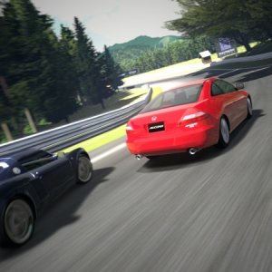 Deep Forest Raceway_6.jpg