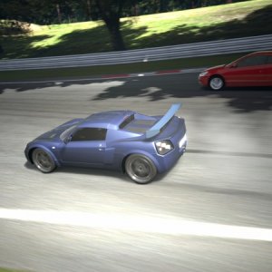 Deep Forest Raceway_8.jpg