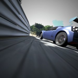 Deep Forest Raceway_10.jpg