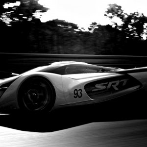 Circuit de la Sarthe 2009 (No Chicanes)_11.jpg