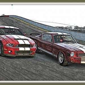 1965 GT350 Mustang @ The Esses_2SEDawG.jpg