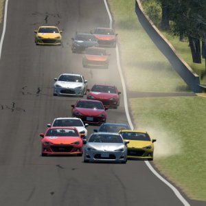 Mount Panorama Motor Racing Circuit_1 (3).jpg