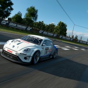 VW Beetle Gr3 - Alsace Race 2.jpg