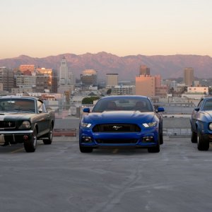 Mustangs in city outskirts.jpg