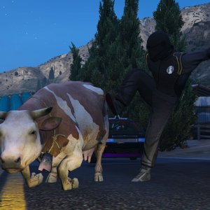 The tamed racing animal on the streets hits a snag with a tamed farming animal on the streets 2