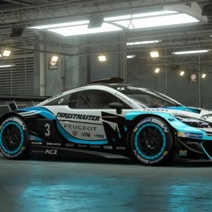 Thrustmaster Racing Livery