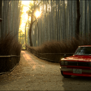 Hakosuka