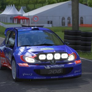 Screenshot_iku_peugeot_206_wrc_g333_borgloh_10-3-122-7-53-9.jpg