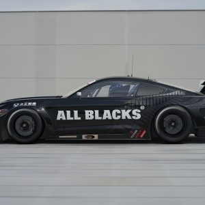 All Blacks Mustang Gr.3_3.jpg