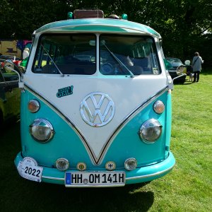 P1040220_VW T1.jpg