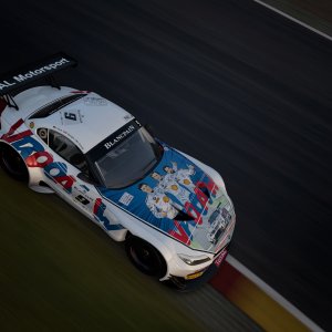 BMW Z4 GT3 Michel Vaillant