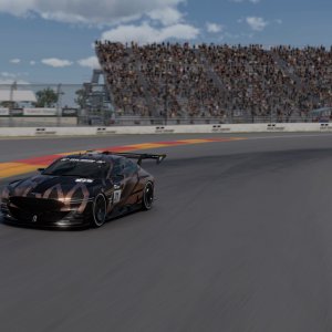 Watkins Glen Long Course__3.jpeg