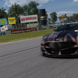 Watkins Glen Long Course__5.jpeg