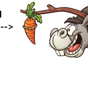 donkeycarrot1.jpg