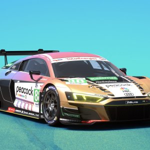 Peacock Audi R8 GT3 LMS.jpeg