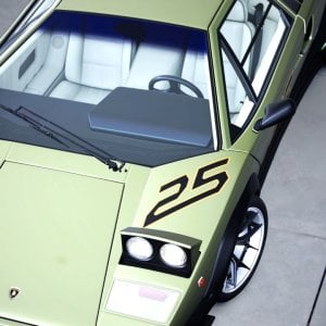 Countach No.25_roof