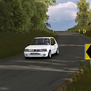 Screenshot_rd_peugeot_205_r_targa_tas_21_s30_pelverata_24-2-123-21-35-27.jpg