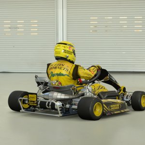 Buzzin Hornets Kart