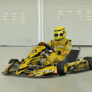 Buzzin Hornets Kart