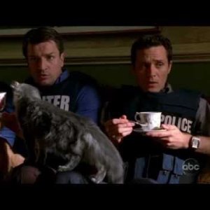 Castle - Tea & Cats