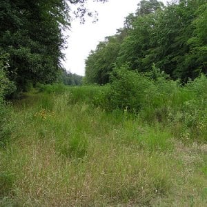 Hockenheim straight (abandoned layout)