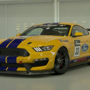 Ford Shelby GT350R Gr.4