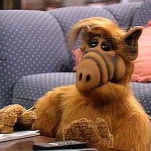 Alf