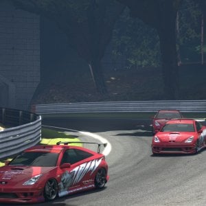 Deep Forest Raceway_82