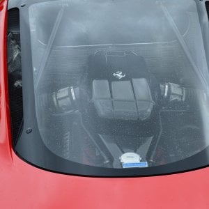 Enzo V12