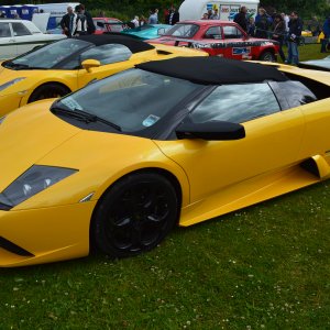 Murcielago