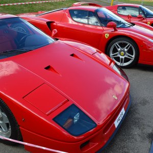 Ultimate Ferraris