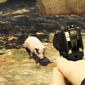 Murph the effing baconholic finds a pig 2