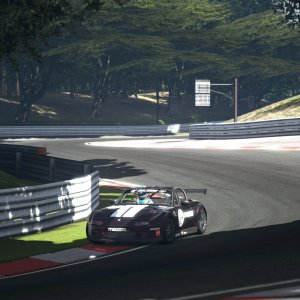 Deep Forest Raceway_12